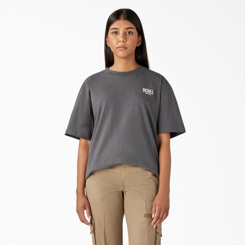 Grey Dickies Built to Last Heavyweight Women's T-Shirt | 079-IUBXER