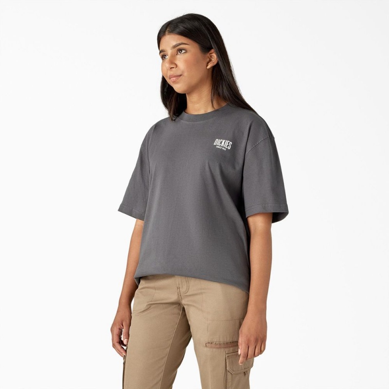 Grey Dickies Built to Last Heavyweight Women's T-Shirt | 079-IUBXER