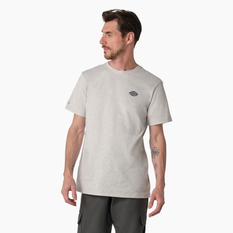 Grey Dickies Cooling Performance Graphic Men's T-Shirt | 647-JHLWDP