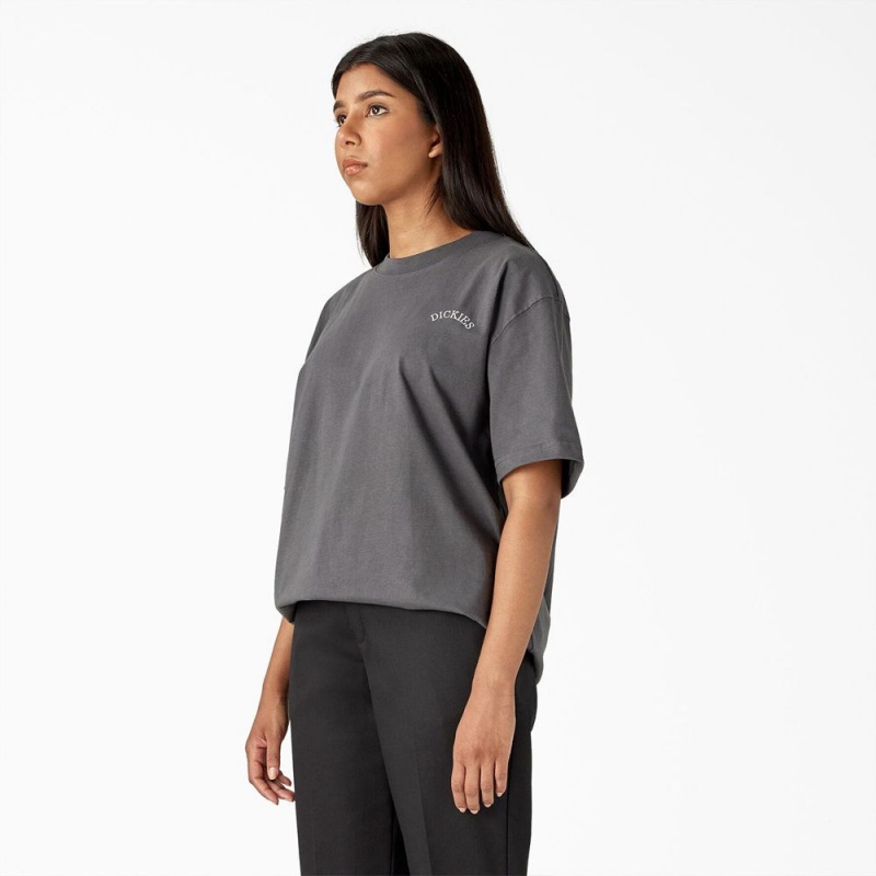 Grey Dickies Eagle Barrel Heavyweight Women's T-Shirt | 139-PWHZFI