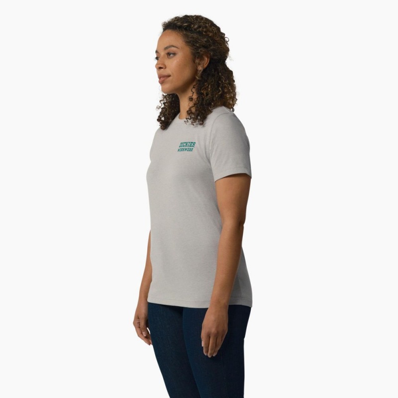 Grey Dickies Heavyweight Workwear Graphic Women's T-Shirt | 203-CLDBWZ