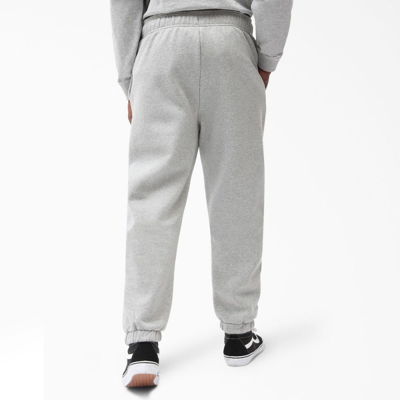 Grey Dickies Mapleton Regular Fit Fleece Sweat Men's Pants | 213-GQPYUI