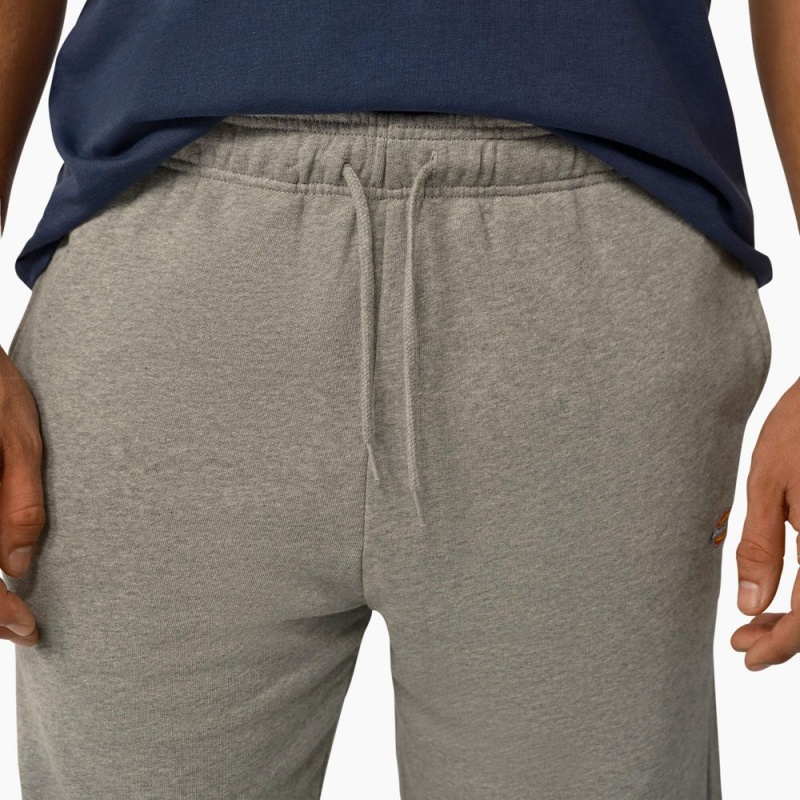 Grey Dickies Mapleton Regular Fit Men's Shorts | 964-UNQRIS