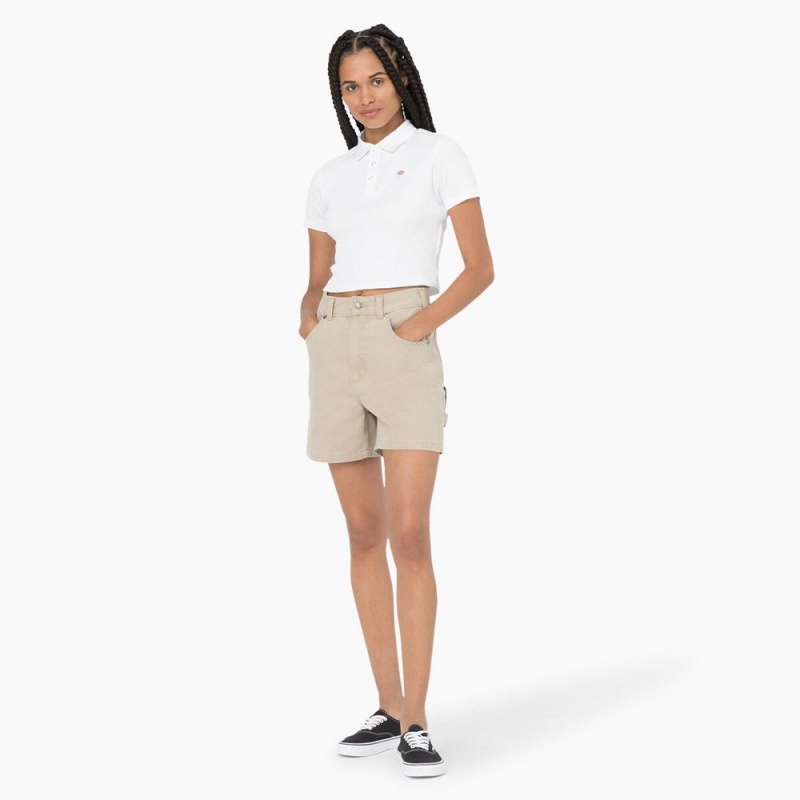 Grey Dickies Regular Fit Duck Women's Shorts | 296-MINBST