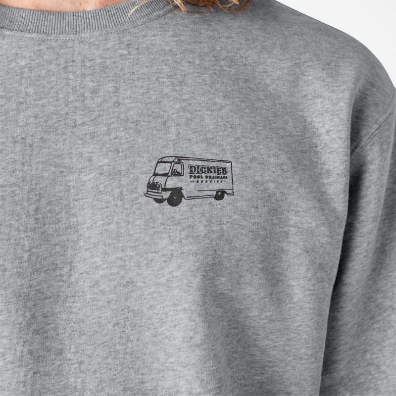 Grey Dickies Skateboarding Pool Drainage Graphic Men's Sweatshirt | 139-YWVEGC