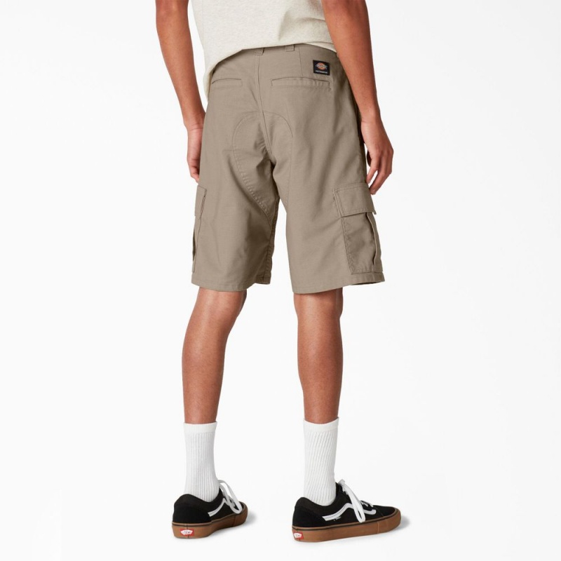 Grey Dickies Skateboarding Regular Fit Cargo Men's Shorts | 204-XBSNWC