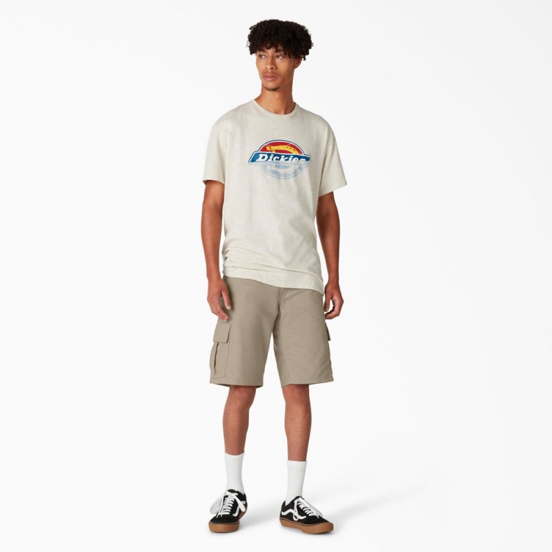 Grey Dickies Skateboarding Regular Fit Cargo Men's Shorts | 204-XBSNWC