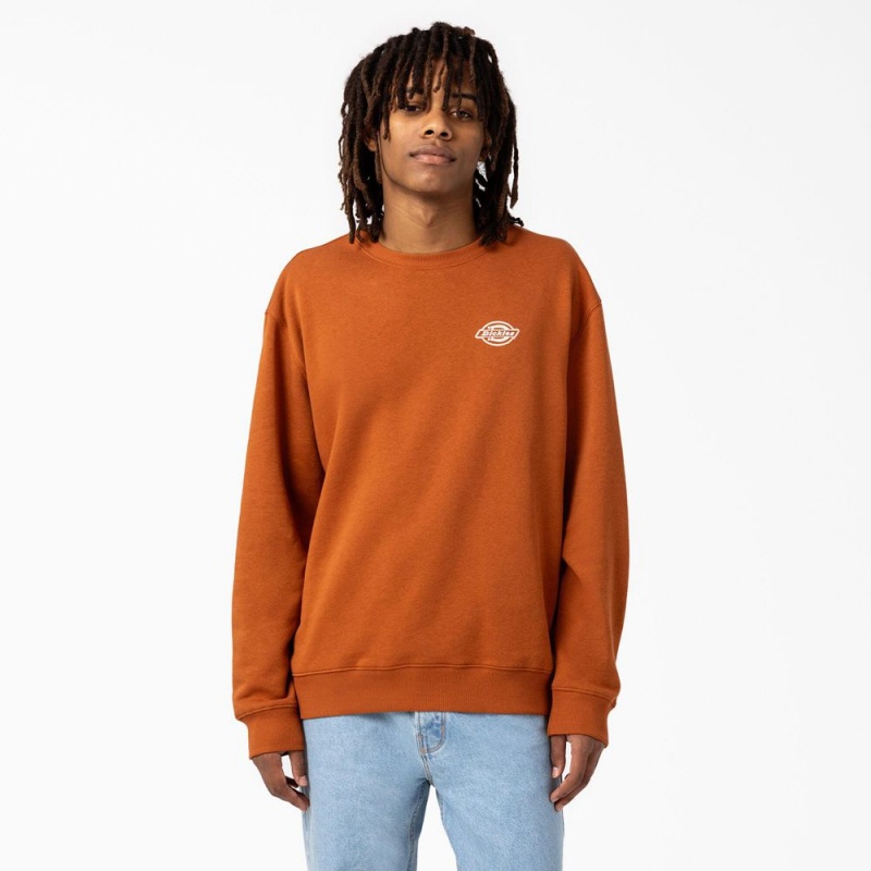 Orange Dickies Holtville Men's Sweatshirt | 702-VZEROI