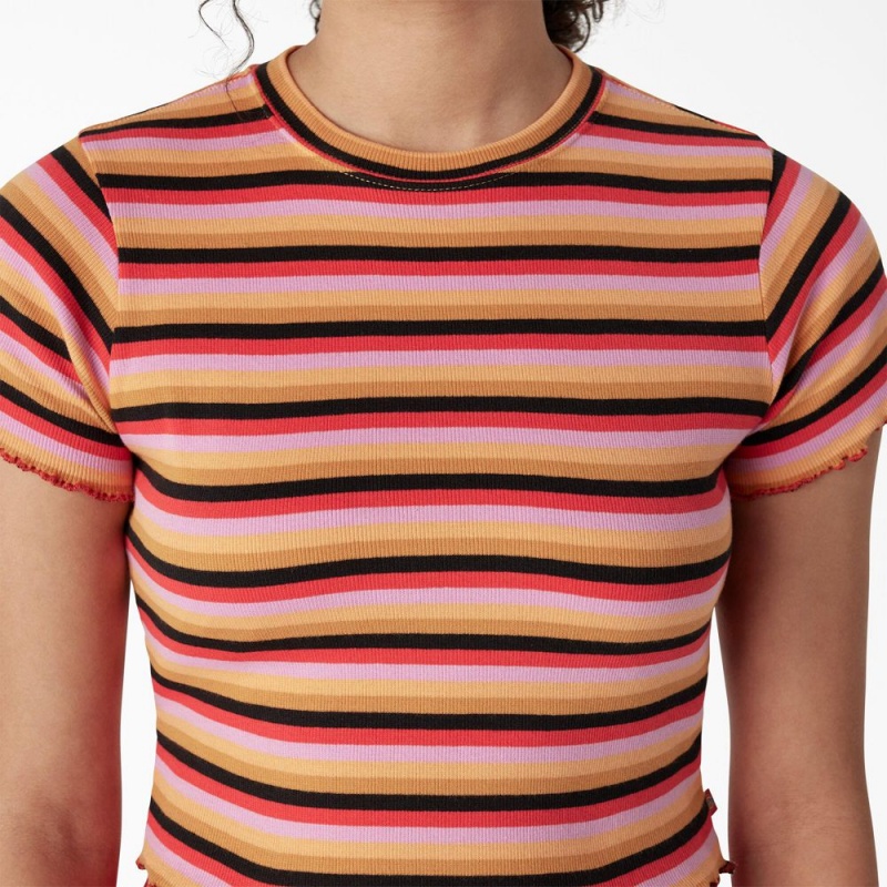 Orange Dickies Striped Cropped Baby Women's T-Shirt | 857-HUEPND