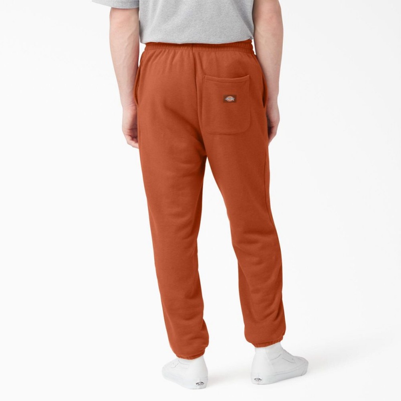 Orange Dickies Uniontown Regular Fit Sweat Men's Pants | 468-VRMICL