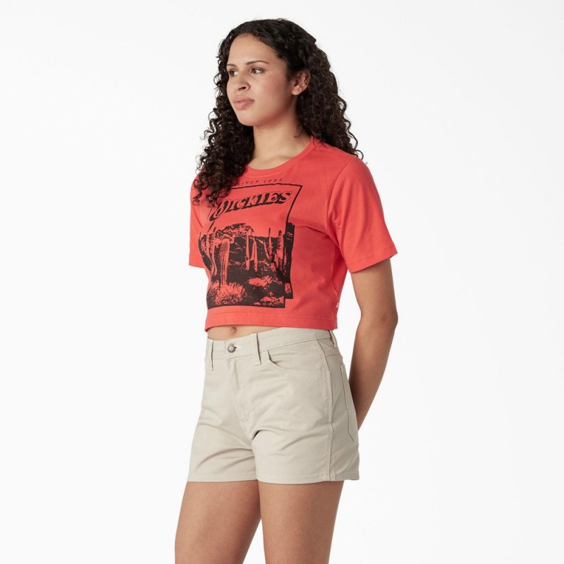 Pink Dickies Desert Graphic Cropped Women's T-Shirt | 265-JBSRAY