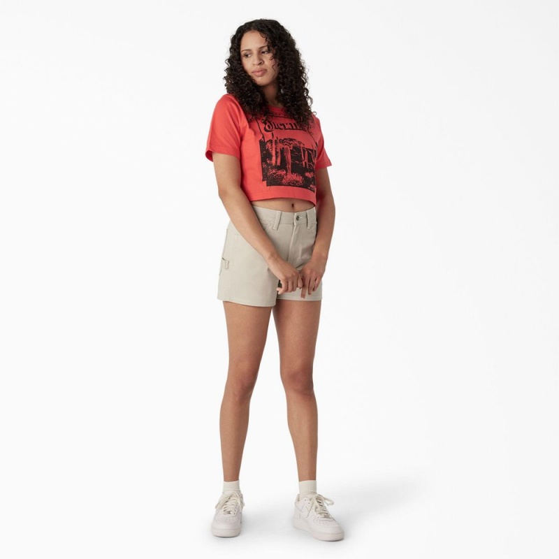 Pink Dickies Desert Graphic Cropped Women's T-Shirt | 265-JBSRAY