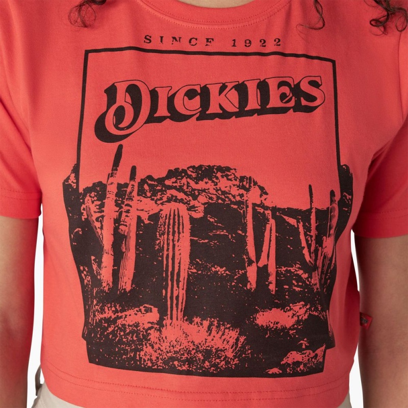 Pink Dickies Desert Graphic Cropped Women's T-Shirt | 265-JBSRAY