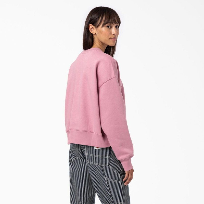 Pink Dickies Summerdale Women's Sweatshirt | 584-LQONKU