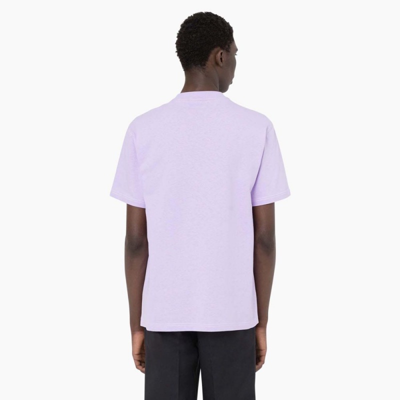 Purple Dickies Beavertown Short Sleeve Men's T-Shirt | 906-TWQGPB