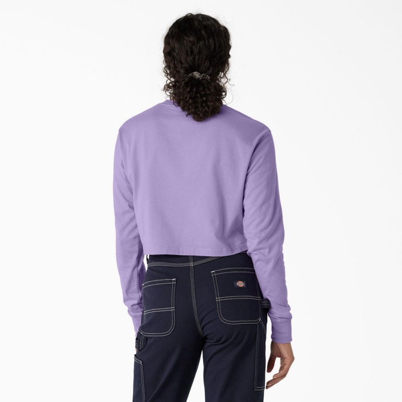 Purple Dickies Butterfly Graphic Long Sleeve Cropped Women's T-Shirt | 095-EKHMQP