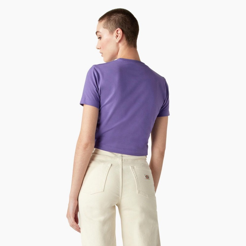 Purple Dickies Garden Plain Cropped Women's T-Shirt | 701-CFHUDY