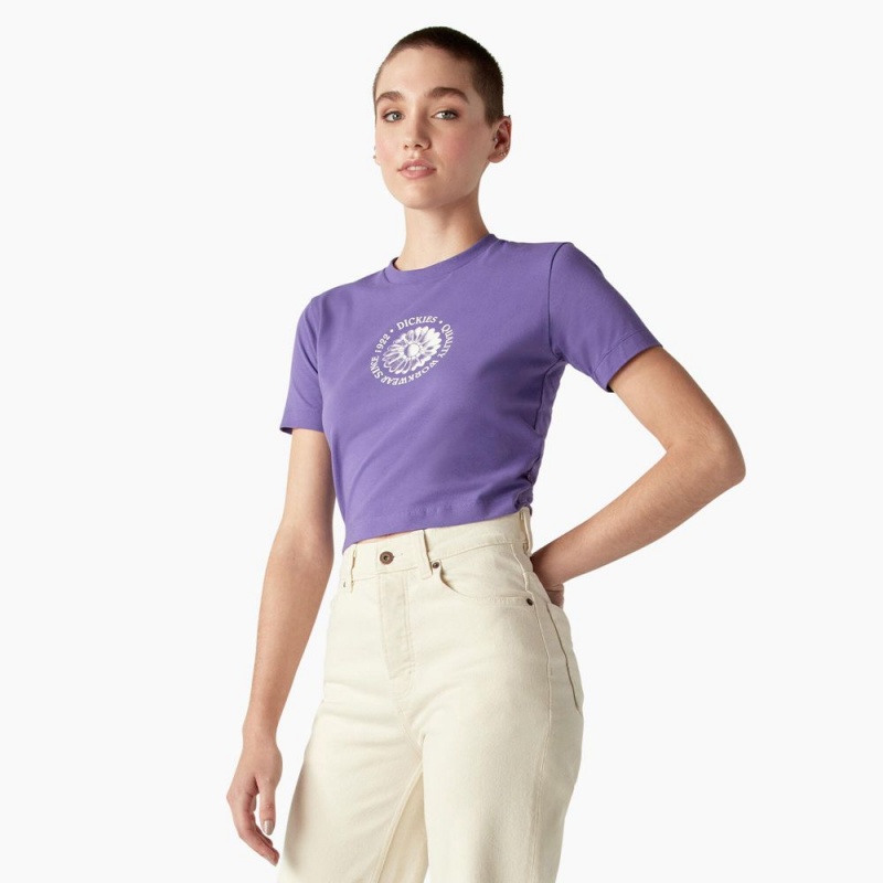 Purple Dickies Garden Plain Cropped Women's T-Shirt | 701-CFHUDY