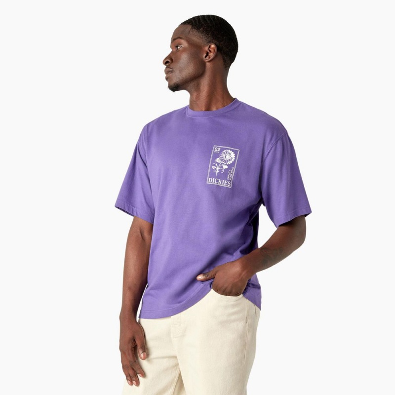 Purple Dickies Garden Plain Graphic Men's T-Shirt | 846-YPWDVB