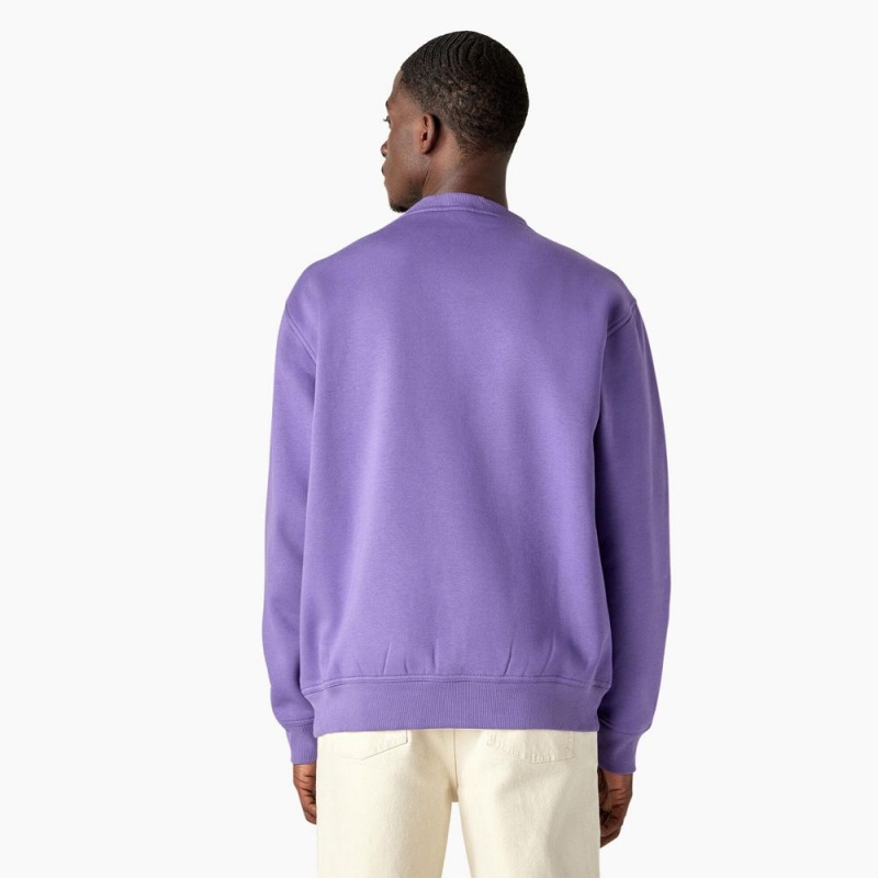 Purple Dickies Garden Plain Graphic Men's Sweatshirt | 931-LZQCAE