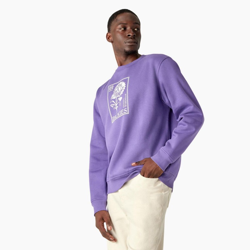 Purple Dickies Garden Plain Graphic Men's Sweatshirt | 931-LZQCAE