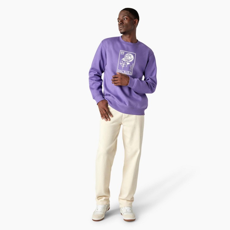 Purple Dickies Garden Plain Graphic Men's Sweatshirt | 931-LZQCAE