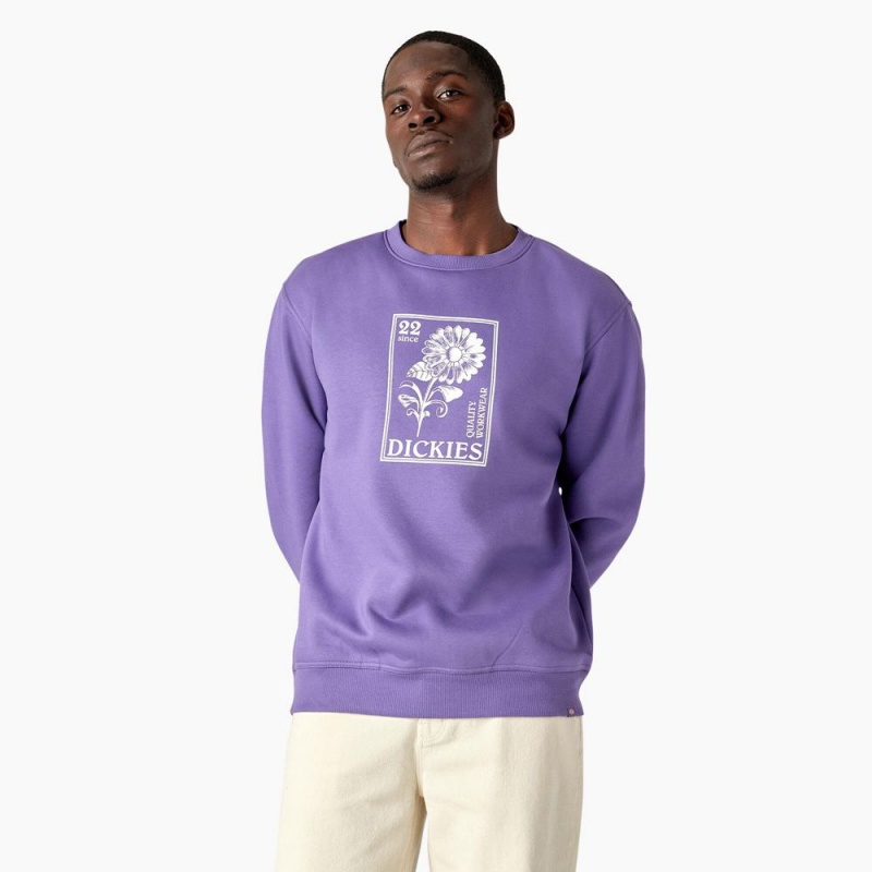 Purple Dickies Garden Plain Graphic Men\'s Sweatshirt | 931-LZQCAE