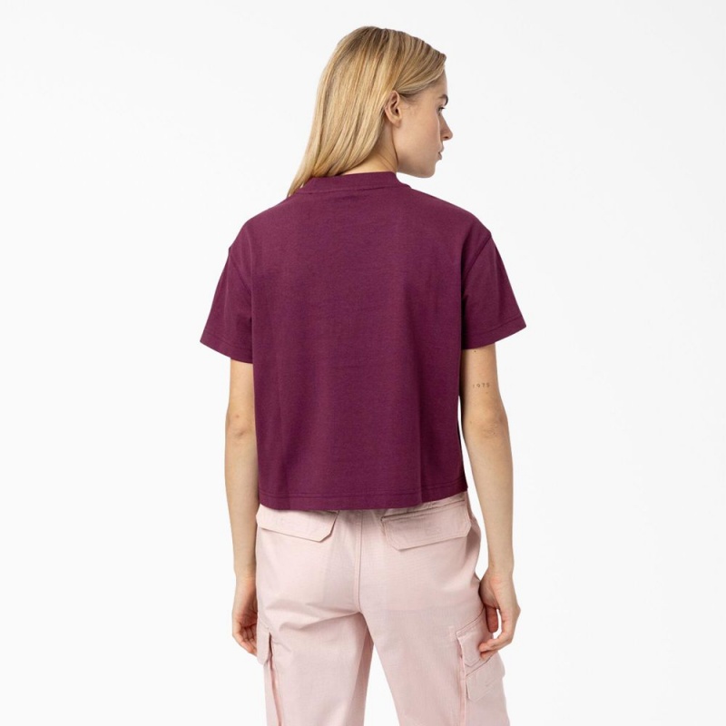 Purple Dickies Loretto Cropped Women's T-Shirt | 417-EUVGBX