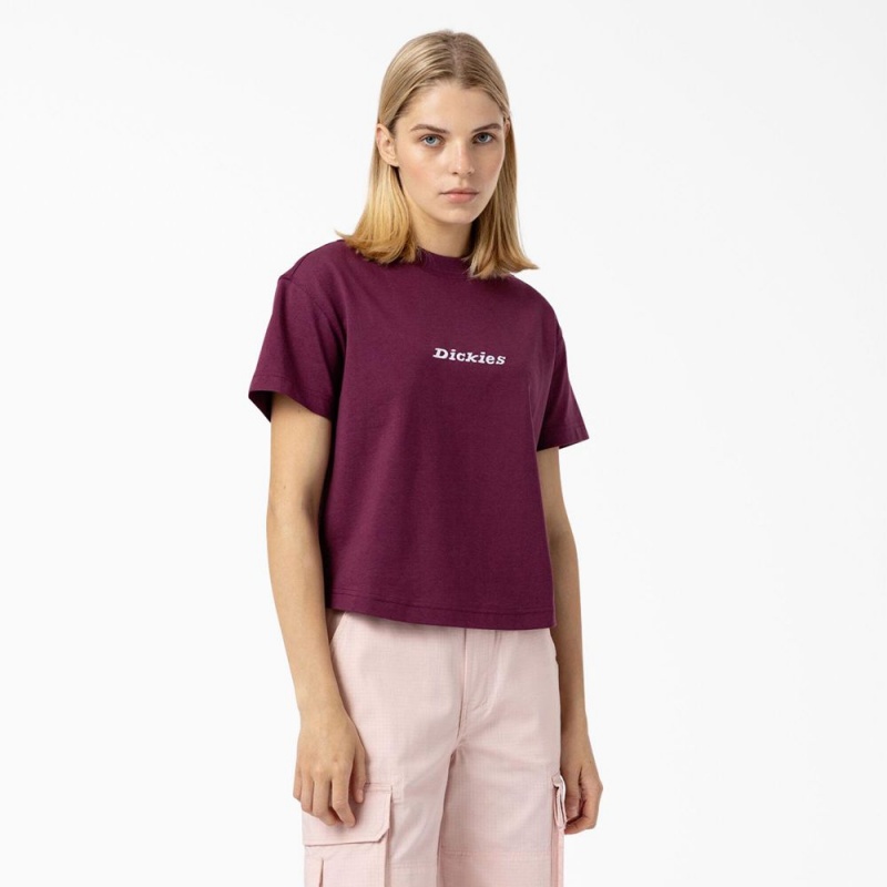 Purple Dickies Loretto Cropped Women\'s T-Shirt | 417-EUVGBX