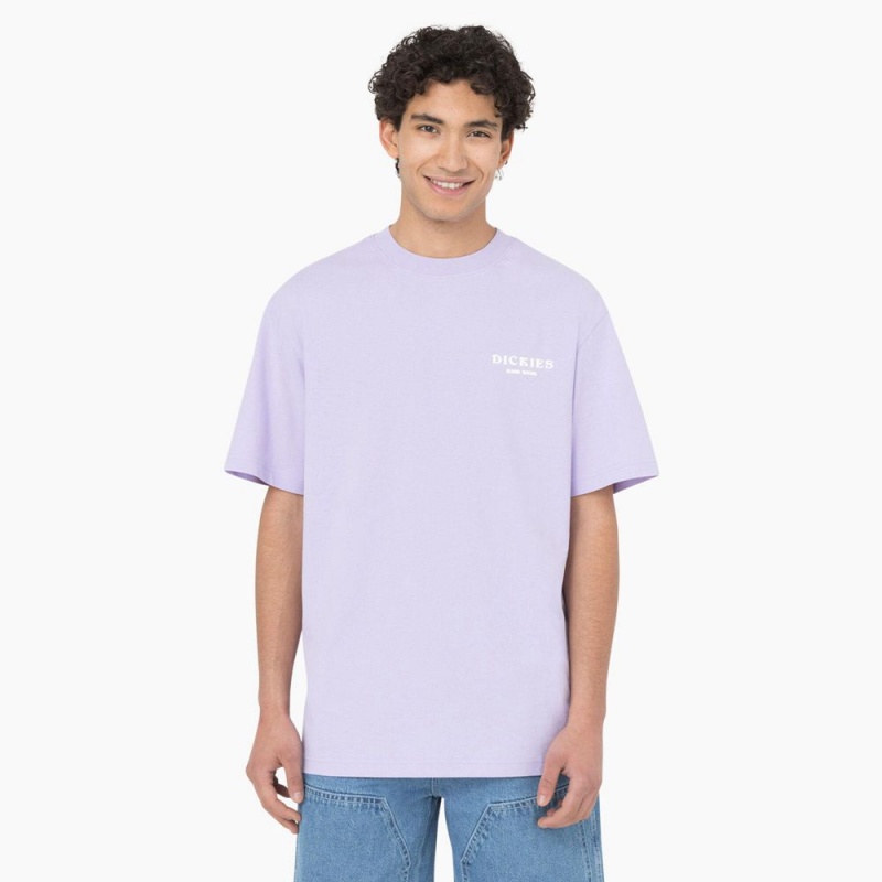 Purple Dickies Oatfield Short Sleeve Men's T-Shirt | 519-EOXWUA