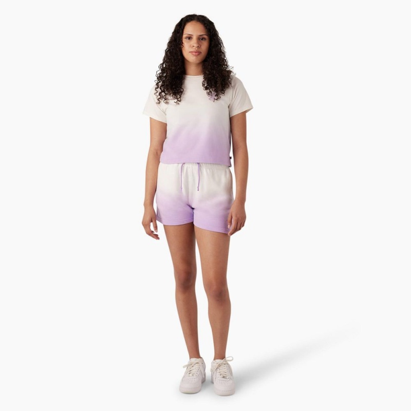 Purple Dickies Relaxed Fit Ombre Knit Women's Shorts | 689-IEZSGX