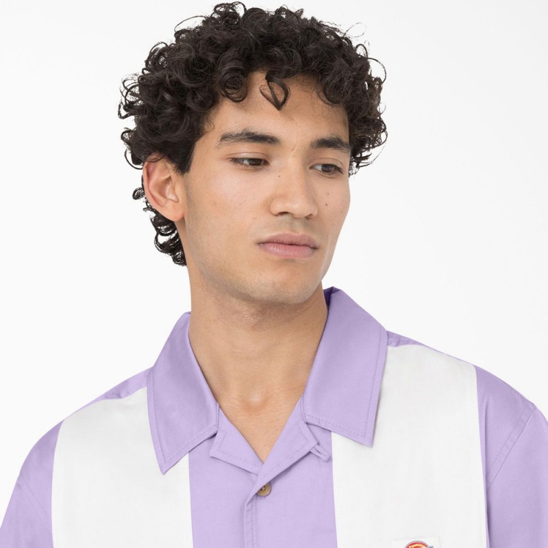 Purple Dickies Westover Short Sleeve Men's Shirt | 203-SOLKRY