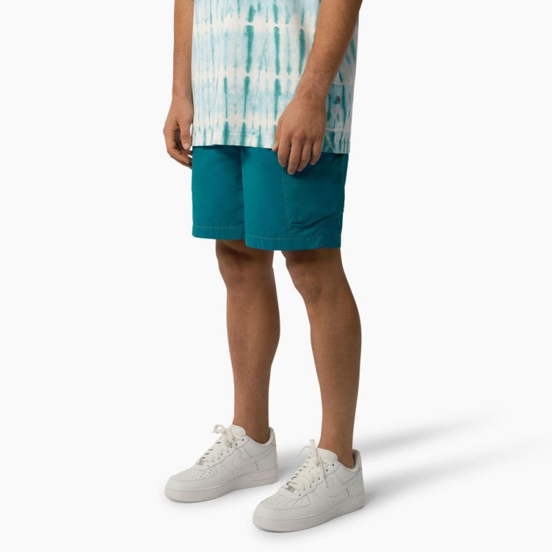 Turquoise Dickies Jackson Regular Fit Cargo Men's Shorts | 102-AMDVIT