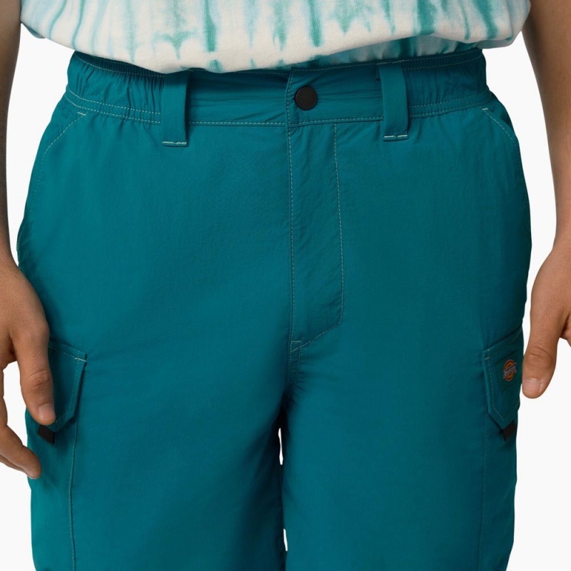 Turquoise Dickies Jackson Regular Fit Cargo Men's Shorts | 102-AMDVIT