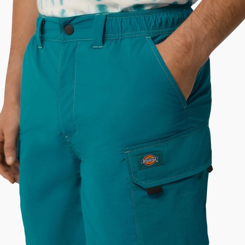 Turquoise Dickies Jackson Regular Fit Cargo Men's Shorts | 102-AMDVIT