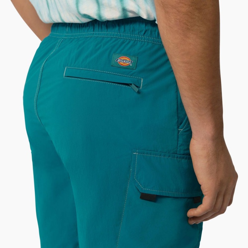 Turquoise Dickies Jackson Regular Fit Cargo Men's Shorts | 102-AMDVIT