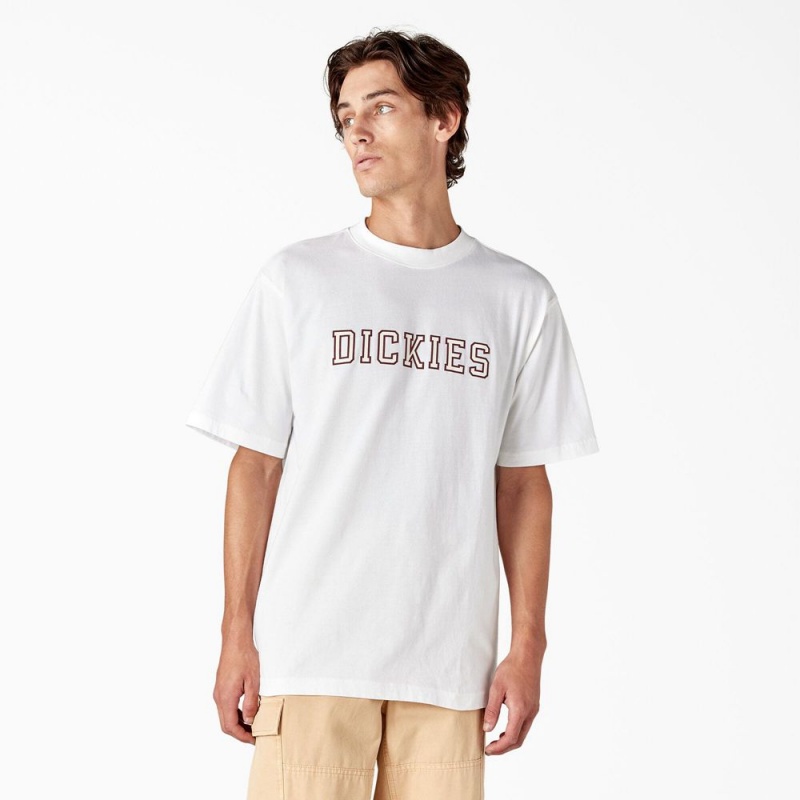 White Dickies Melvern Graphic Men\'s T-Shirt | 613-LHFDEA