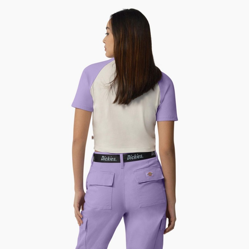 White Dickies Sodaville Cropped Women's T-Shirt | 203-UVXMSQ