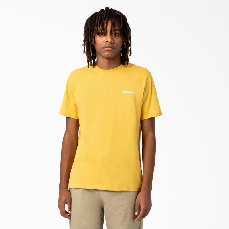 Yellow Dickies Camden Box Graphic Men's T-Shirt | 862-ASEJQO