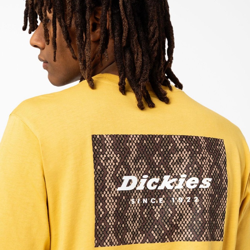 Yellow Dickies Camden Box Graphic Men's T-Shirt | 862-ASEJQO