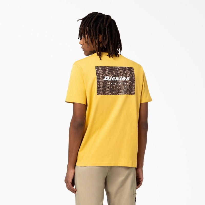 Yellow Dickies Camden Box Graphic Men\'s T-Shirt | 862-ASEJQO