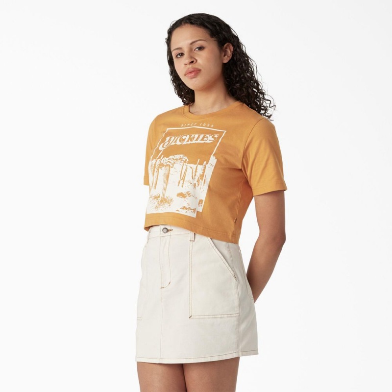 Yellow Dickies Desert Graphic Cropped Women's T-Shirt | 096-XMKWZN