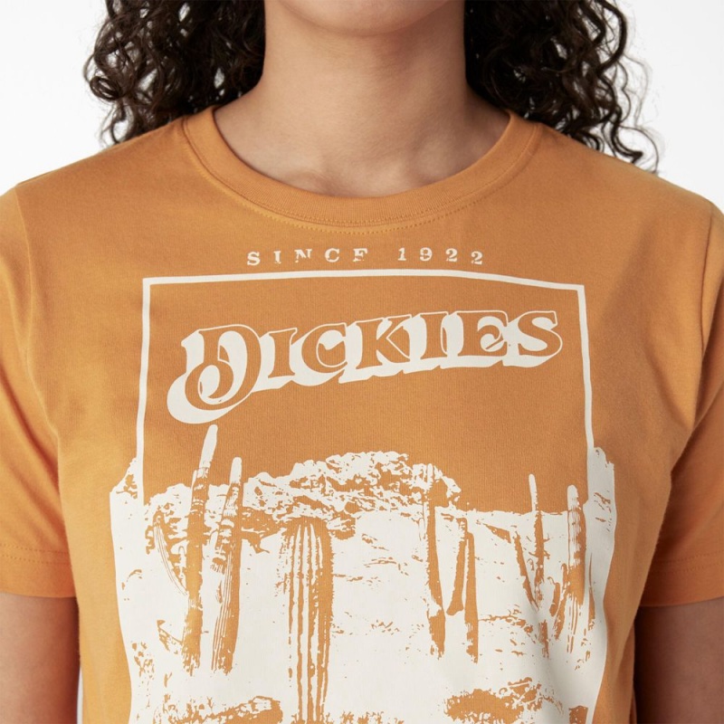 Yellow Dickies Desert Graphic Cropped Women's T-Shirt | 096-XMKWZN