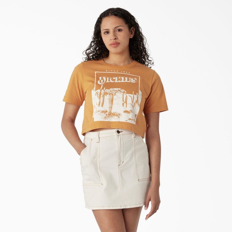 Yellow Dickies Desert Graphic Cropped Women\'s T-Shirt | 096-XMKWZN