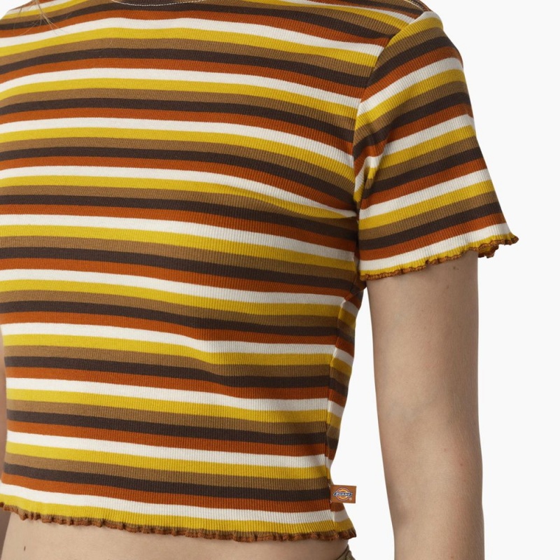 Yellow Dickies Striped Cropped Baby Women's T-Shirt | 486-VKLMXN